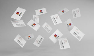 非揚絲路企業(yè)VI形象設(shè)計與品牌策劃方案